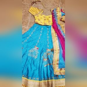 Indian pakistani lahangacholi chaniyacholi crocktop